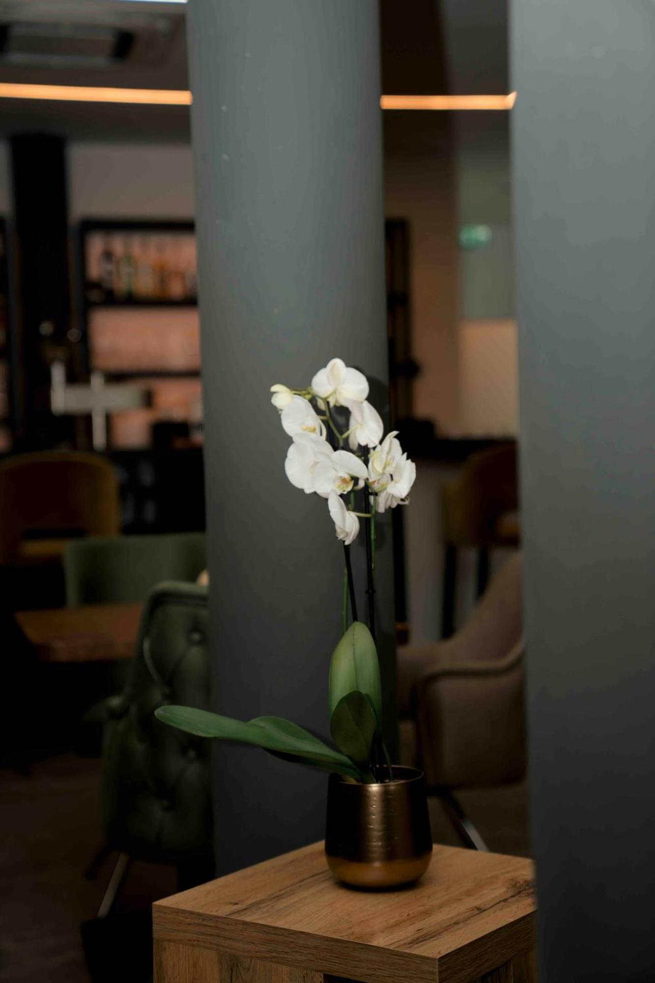 גוסלר Central Hotel & Lounge Adult Only מראה חיצוני תמונה